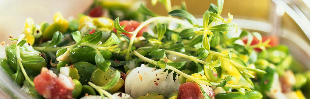 Salat-Dressing für Blattsalat – myline Deutschland GmbH Salat-Dressing für Blattsalat – myline Deutschland GmbH