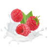 Protein Himbeer-Quark