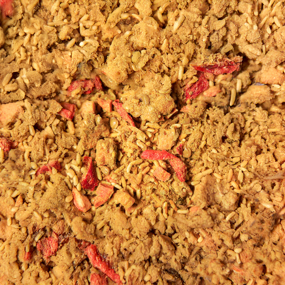 Genuss Gericht Marokkanischer Linseneintopf (vegan)