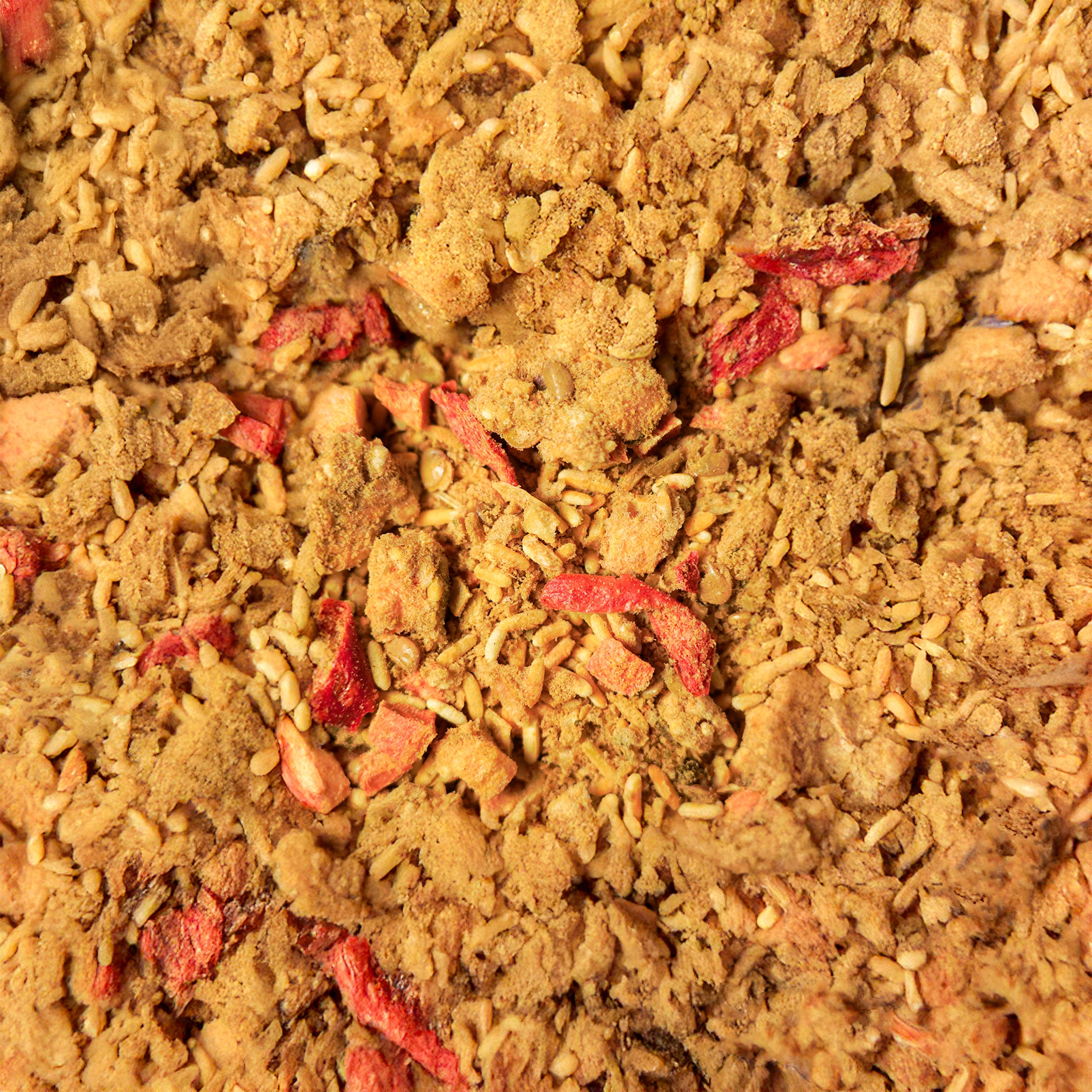 Genuss Gericht Marokkanischer Linseneintopf (vegan)