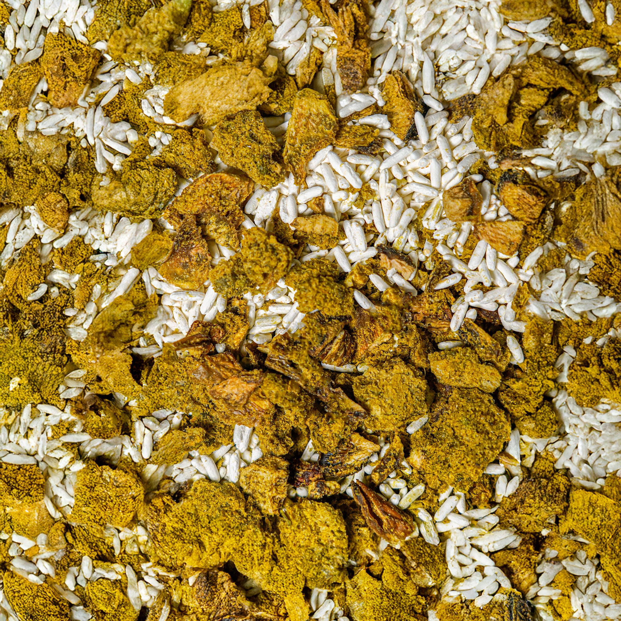 Genuss Gericht Spinat-Risotto mit Pilzen (vegan)