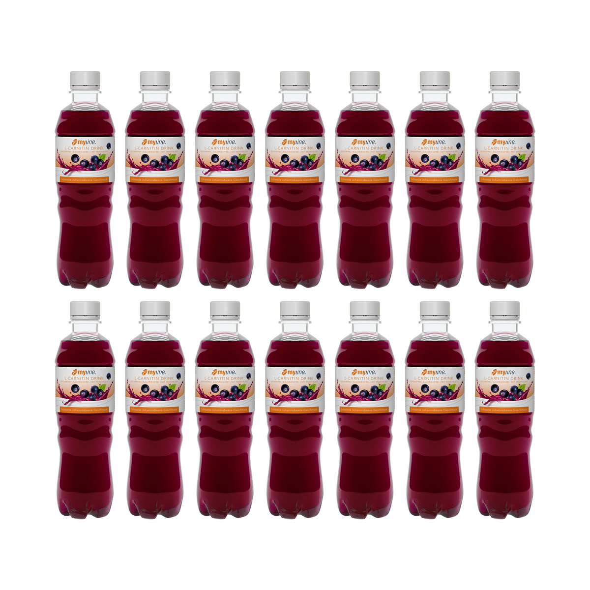 L-Carnitin Drink Schwarze Johannisbeere