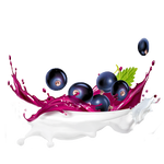 Geschmacks Icon
